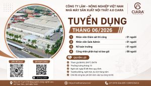 Tuyendungthang 6